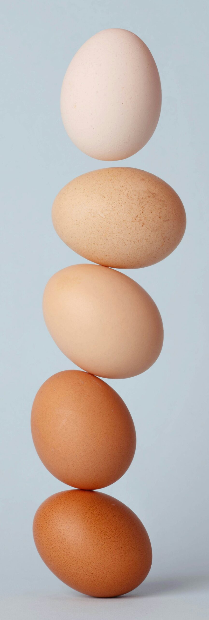 Les oeufs, protéines animales avec les 8 acides aminés essentiels